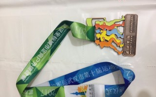  去年武汉运动会什么时候开的(武汉市运动会开始时间)