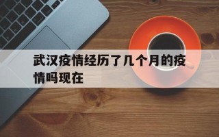  武汉疫情经历了几个月的疫情吗现在(武汉几月份最冷)