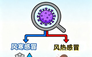  现在是什么病毒感冒症状(现在又是什么病毒)