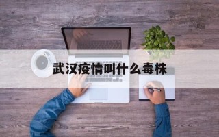  武汉疫情叫什么毒株(武汉新冠疫情病毒名为)