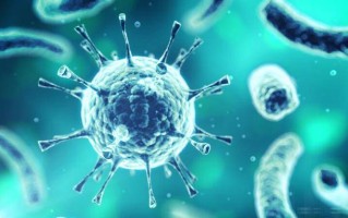  03年病毒为什么叫非典病毒(2003年非典病毒源头在哪)