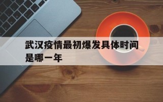  武汉疫情最初爆发具体时间是哪一年(武汉疫情会不会传染)