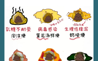  什么病毒是拉肚子的(什么病毒导致腹泻)