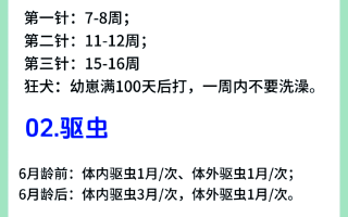  疫情打疫苗啥时候结束(疫情疫苗什么时间打)