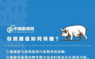  非洲疫情是什么病毒2025年11月15日(非洲疫情非洲疫情)