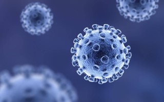  最近的新型病毒叫什么(最近的新病毒有什么症状)