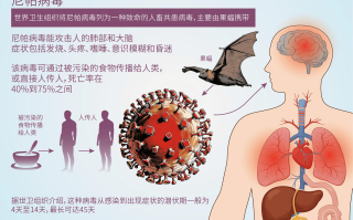  最近最流行的病毒(最新流行病毒)