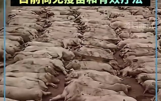  疫情爆发那天是几月几号(疫情爆发那天开始的)