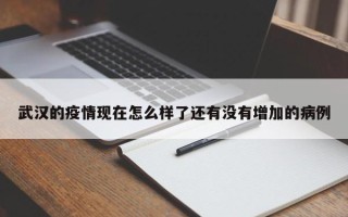 武汉的疫情现在怎么样了还有没有增加的病例