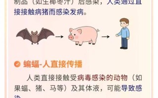  尼帕病毒最新感染人数(尼帕病毒最新感染人数比例)