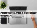  疫情是哪一年?(中国疫情时间线大事表)