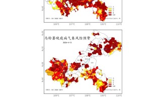 重庆疫情最新数据消息新增的简单介绍
