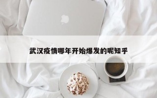 武汉疫情哪年开始爆发的呢知乎