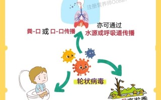  腹泻病毒感染的症状及治疗(腹泻病毒感染的症状及治疗方法)