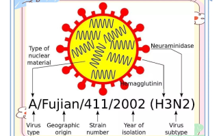  2003年病毒叫什么名字(2003年的病毒死了多少人)