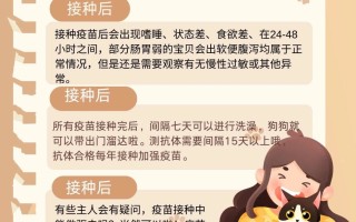  三年打一次的疫苗是什么意思(三年打一次的疫苗是什么意思啊)