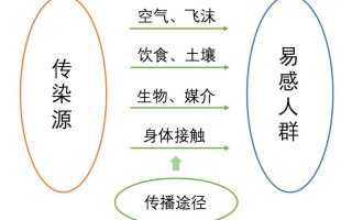  广东的病毒来源于哪里(广东疫情病毒来源)