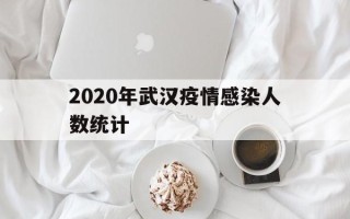  2020年武汉疫情感染人数统计(武汉死了多少人疫情期间)