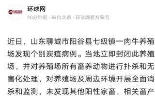  疫情后果严重(疫情造假的后果)