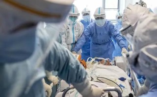  疫情到底从哪儿来的(疫情到底是哪儿来的)