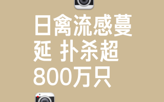  疫情彻底爆发的时间是几月几日(什么时候开始疫情爆发)