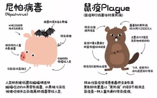  疫情是啥病毒来的啊视频讲解(疫情是多久全面解封的)
