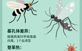  蚊子传播病毒(蚊子传播病毒最新消息)