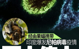  挨什么拉病毒会死人(会让人拉肚子的病毒)