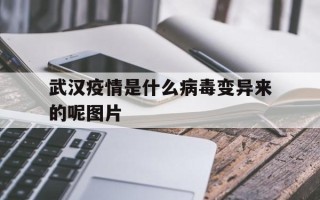  武汉疫情是什么病毒变异来的呢图片(武汉疫情是什么病毒变异来的呢图片大全)