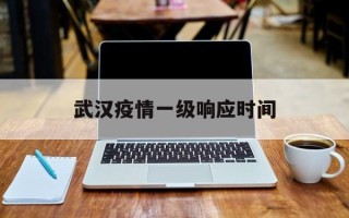  武汉疫情一级响应时间(各省疫情一级响应时间)