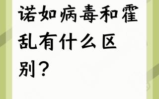  诺诺病毒感染症状(诺诺病毒有哪些措施)