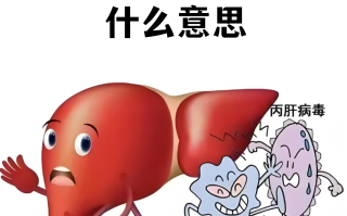  03年疫情是什么病毒感染的(2009年传染病疫情)