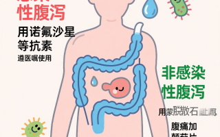  病毒拉肚子怎么治疗(龙壮病毒拉肚子怎么治疗)