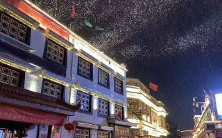  以前有没有疫情的地方(之前有什么疫情)