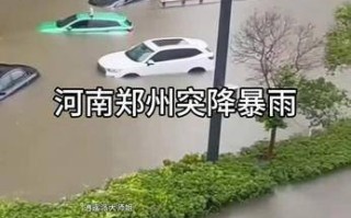  河南疫情暴发(最近郑州流行的病毒)