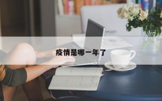 疫情是哪一年了