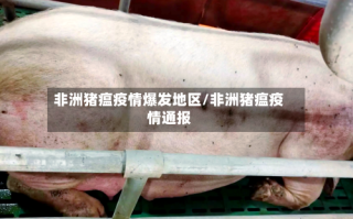  非洲病情最新消息(非洲病毒最新情况)