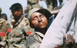  四年疫情两年洪灾是什么(四年疫情两年洪灾是什么时候)