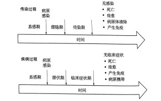  疫情是啥病毒类型的传染病(疫情是哪种病毒引起的)