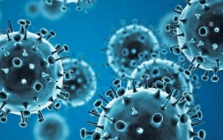  爆发于2019年末的新冠肺炎疫情(新冠疫情是2019年几月几日爆发的)