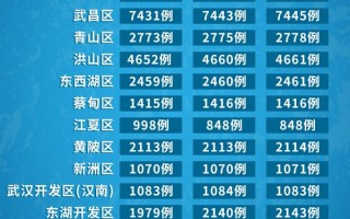  疫情对武汉城市发展的影响(武汉疫情重灾区)