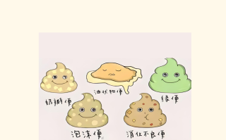  最近拉肚子的病毒叫什么名字来着(拉肚子的是什么病毒)