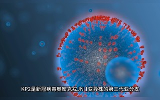  疫情变异毒株症状(疫情变异毒株症状是什么)