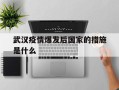  武汉疫情爆发后国家的措施是什么(武汉疫情爆发政府的应对)