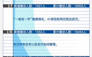  武汉市什么时候封城的(武汉市什么时候开始封城的)