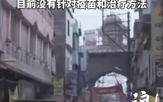  印度疫情病毒变种(印度的新冠病毒)