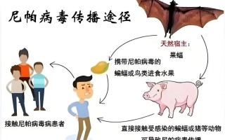 新冠肺炎疫情是瘟疫吗(新冠肺炎疫情是瘟疫吗)
