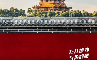  武汉封城是谁提出的?(武汉封城的决定是谁做出的)