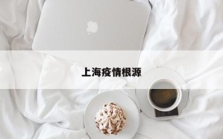 上海疫情根源