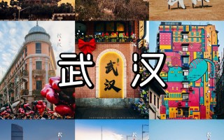 武汉新冠疫情是哪一年开始的呢视频下载的简单介绍